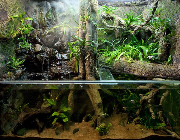 Paludarium